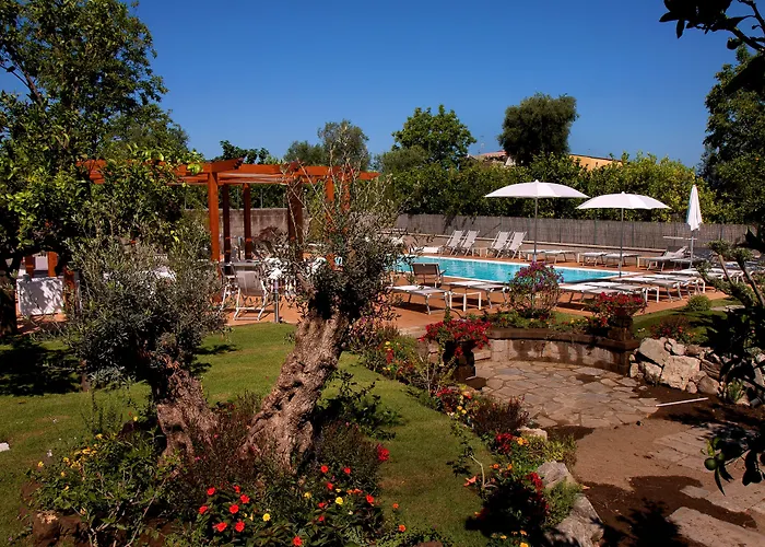 Albergo economico: Il Roseto