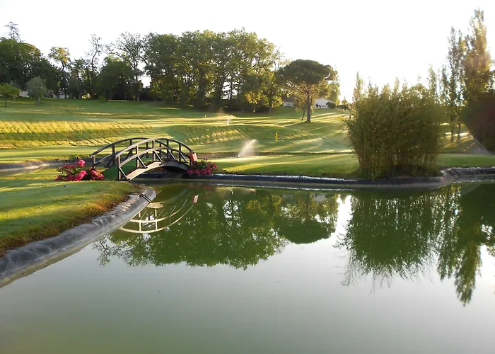 Hôtel accueillant les animaux: Hôtel de Sèze&Spa Bordeaux Centre