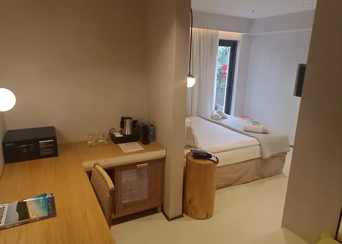 Airport Hotel: Skiathos Senses