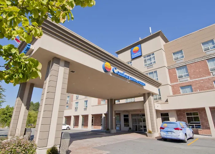 Resort: Comfort Inn & Suites