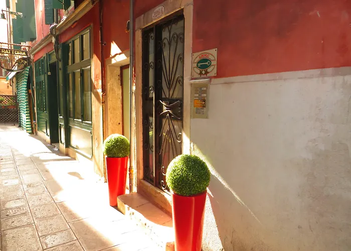 Hotel all'aeroporto: Hotel San Salvador Basic & Local 2 Stars Hotel