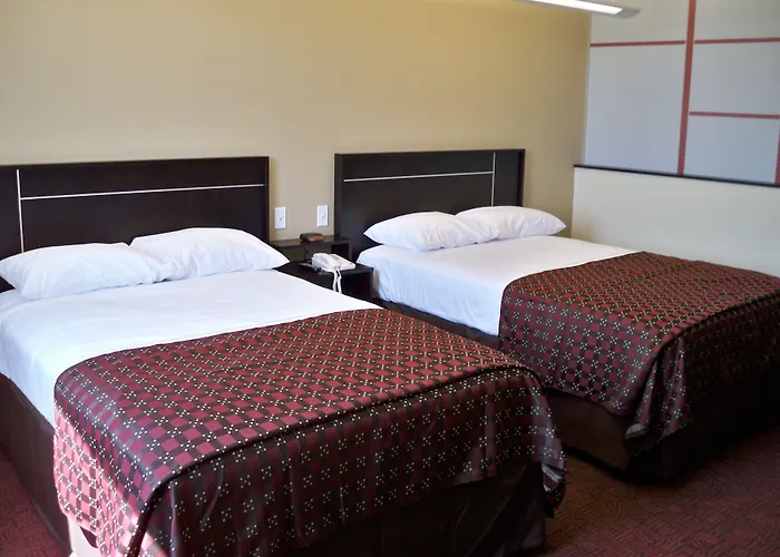 Motel: Red Roof Inn & Suites Beaumont