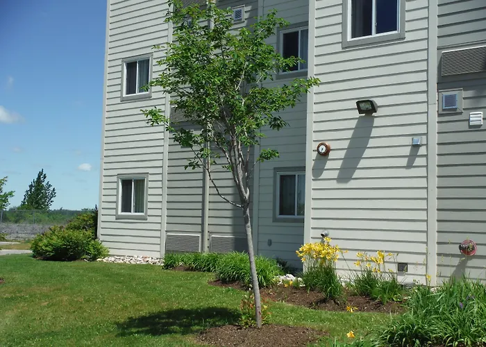 Pet Friendly hotel: Motel 6-Kingston, On