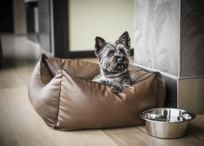 Resort: Hyatt Regency Dusseldorf