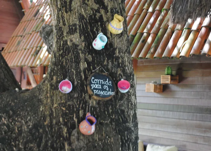 Hotel de luxo Apenas: Chalet Suisse