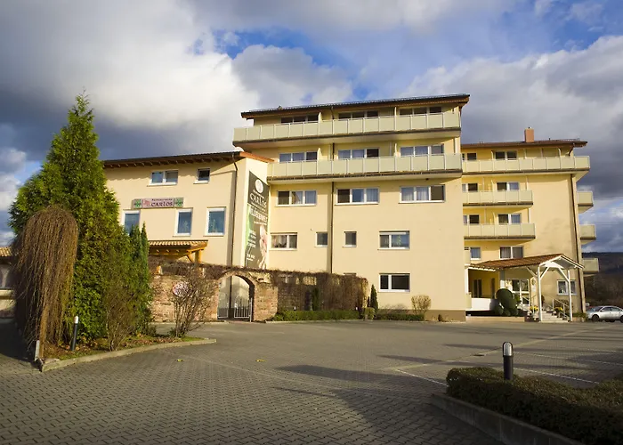 Haustierfreundliches Hotel: Hotel Engelhorn