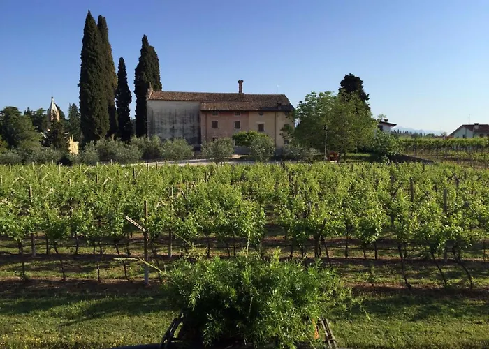 Luxe hotel: Parco Termale Di Villa Dei Cedri