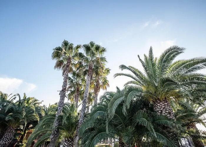Camping Estival Vendrell Platja Coma-ruga