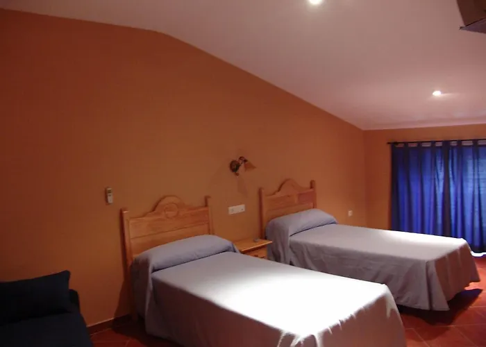 Perros hoteles San Miguel