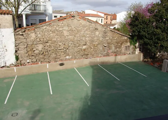 Perros hoteles San Miguel