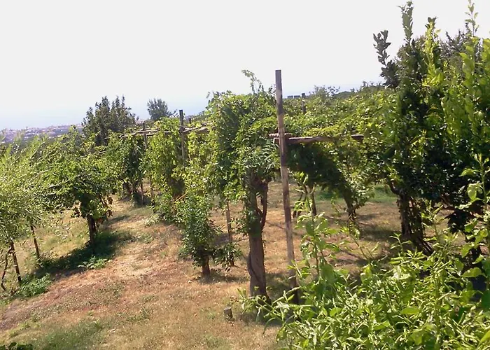  Tenuta Le Fornacelle