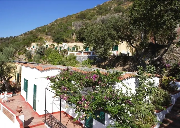 Capo Alaua
