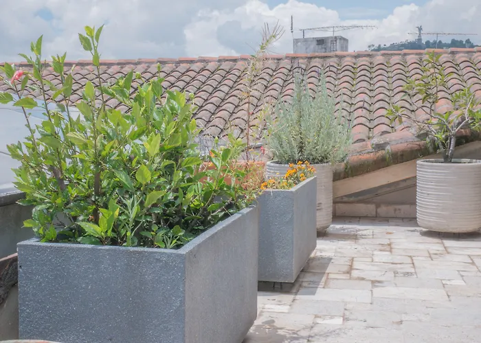 3-Sterne-Hotel: Casa El Eden