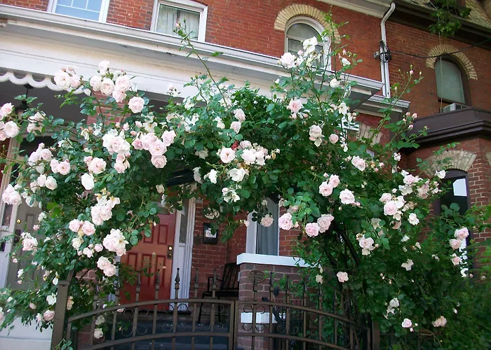 Comfy Guesthouse & Suite