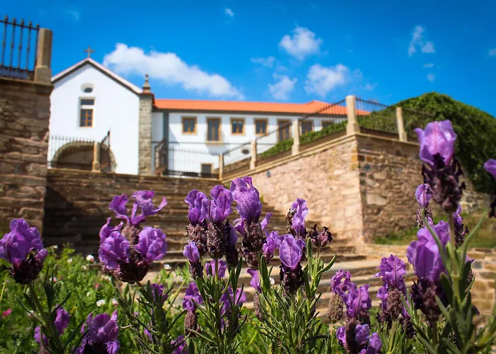 Hotel familiar: Convento Da Serta Hotel