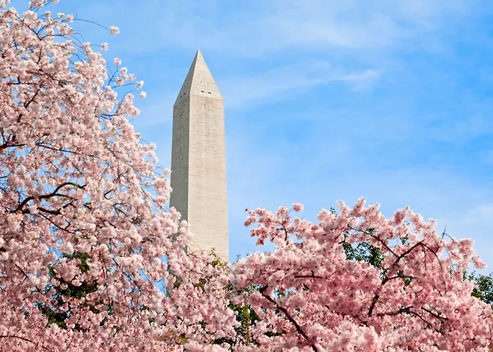 Hyatt Place Dc/White House