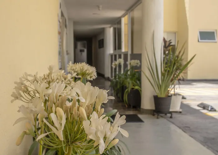 Günstiges Hotel: Hotel Emperador Centro Guadalajara Y Remodelado