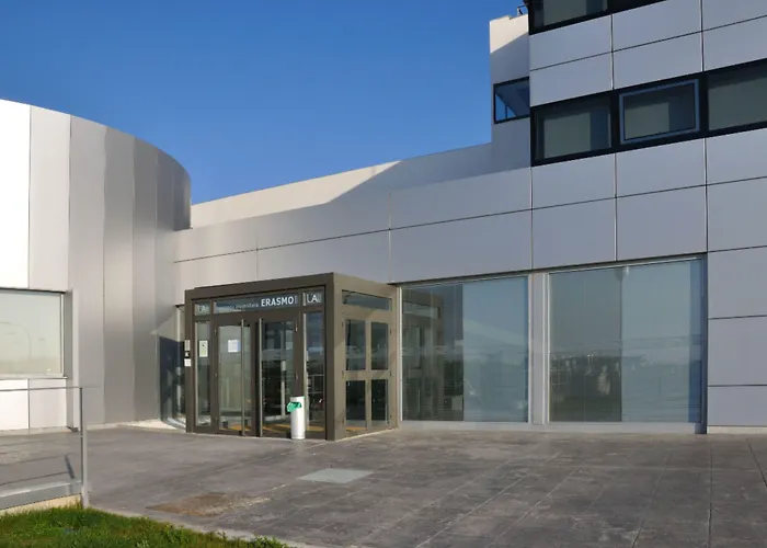 Hotel que admite mascotas: Residencia Universitaria Erasmo