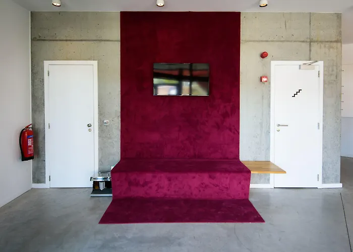 Pet Friendly hotel: Hotel Belvue