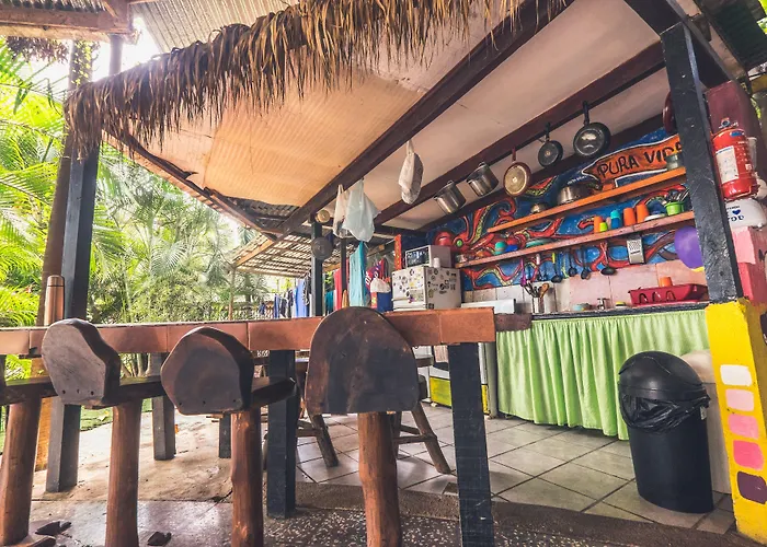 Pura Vida