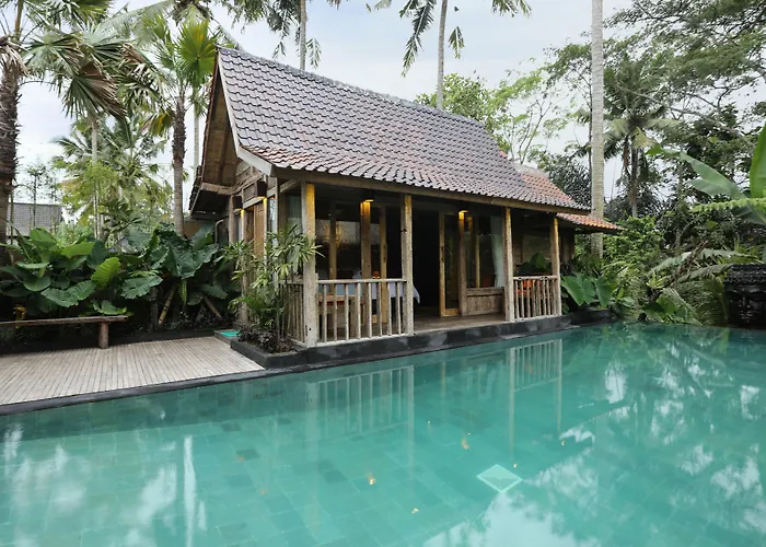 Ubud Virgin