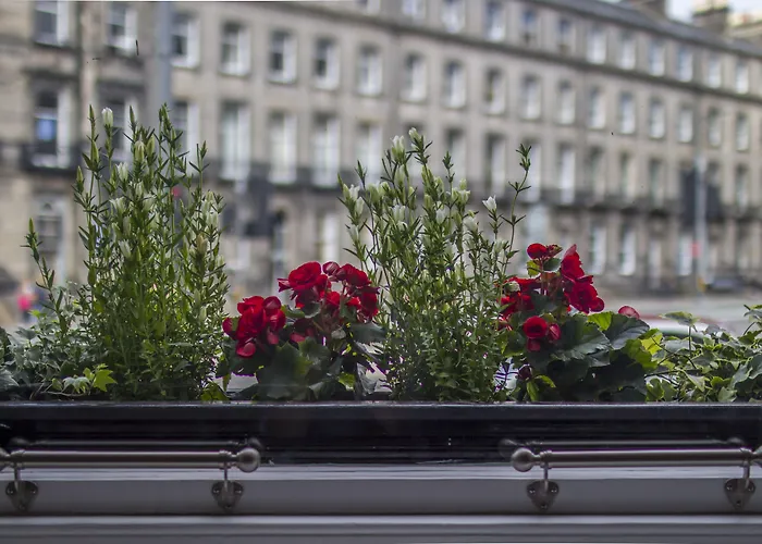 Apart hotel: Haymarket Apartments