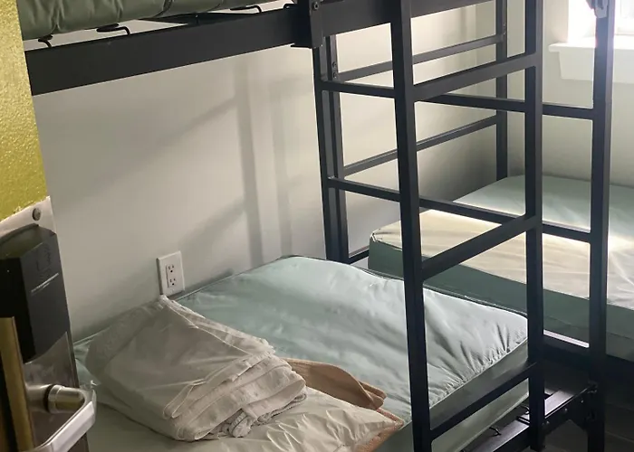 The Hostels Dc International 1