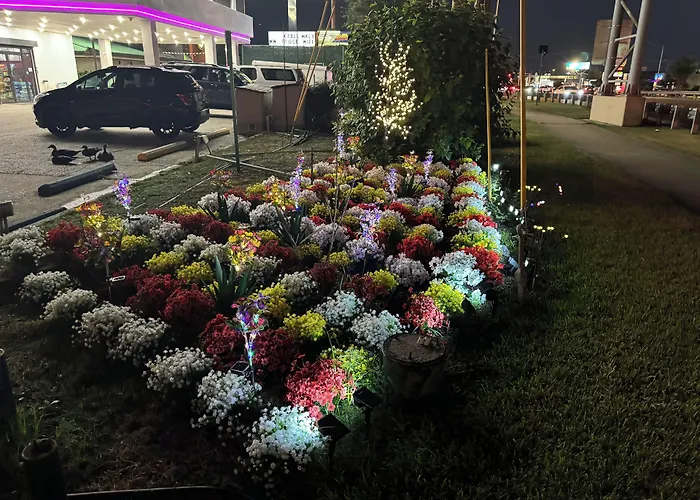 Motel: Contempra Inn