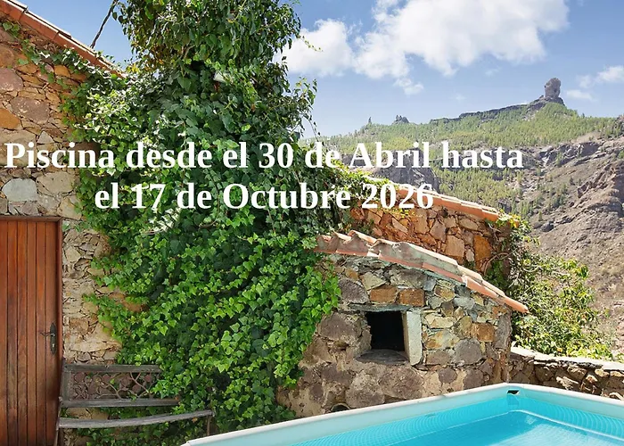 Perros hoteles Pepita La De Las Flores