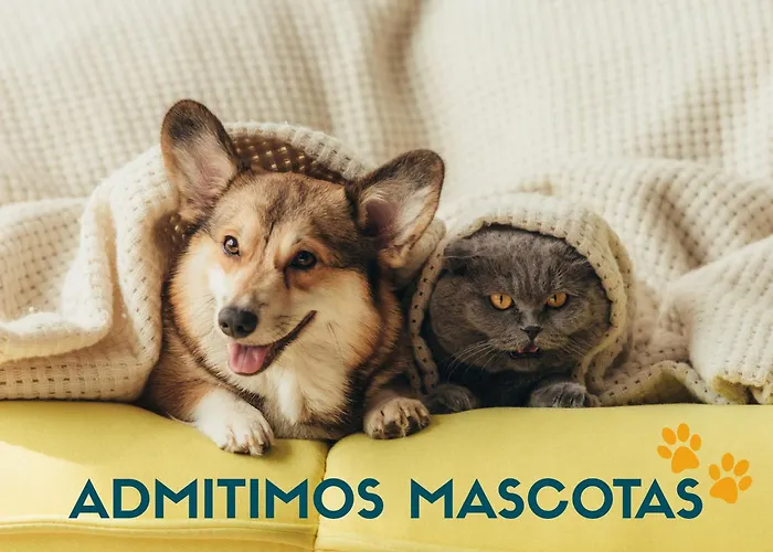 Apartamentos Canillo 3000