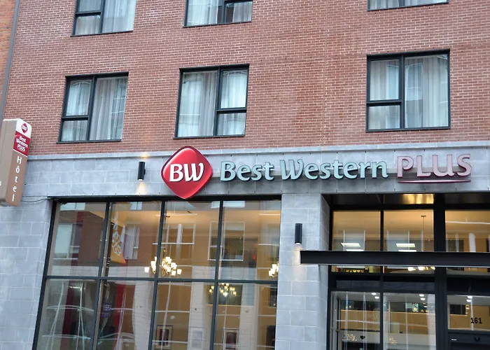 Hôtel accueillant les animaux: Best Western Plus Hotel Montreal