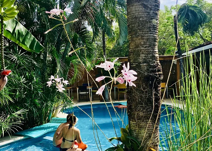 Ten North Tamarindo Beach