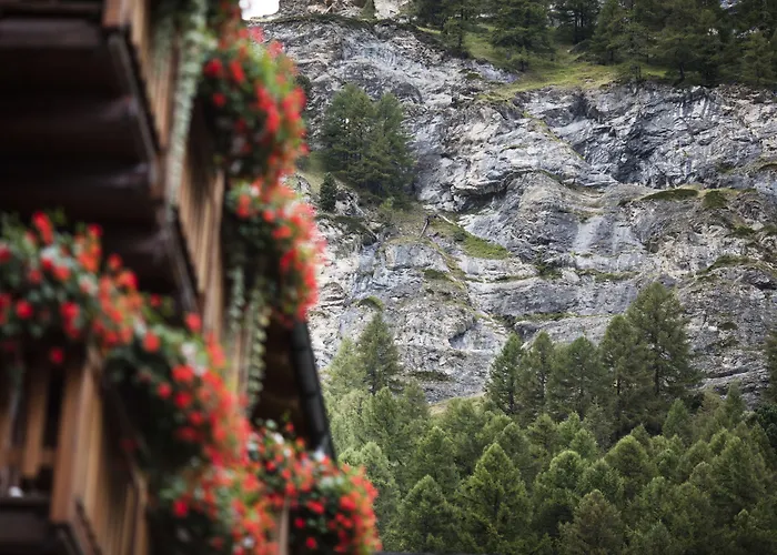 Hôtel accueillant les animaux: Hotel Continental