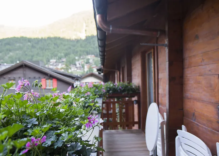 Hôtel accueillant les animaux: Hotel Continental