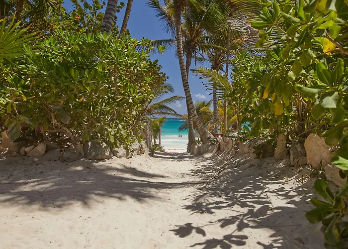 Hotel de lujo: Dos Ceibas Tulum - Feel Good Hotel