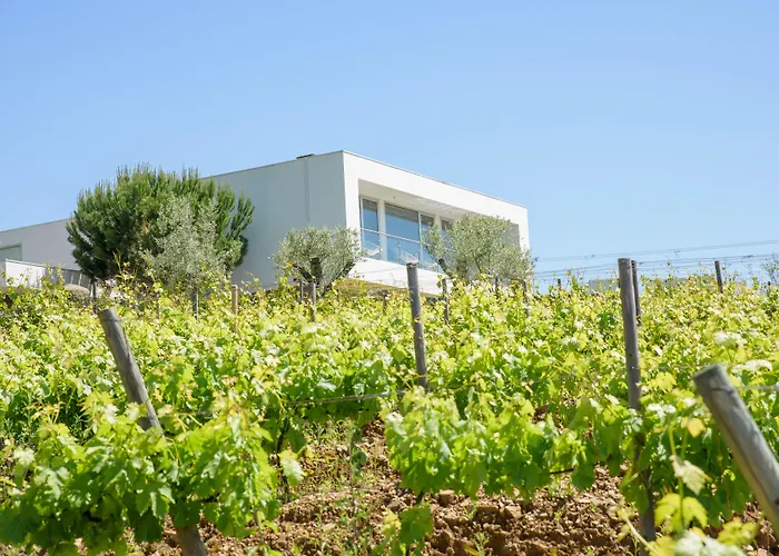 Hotel com piscina: Quinta Do Bosque