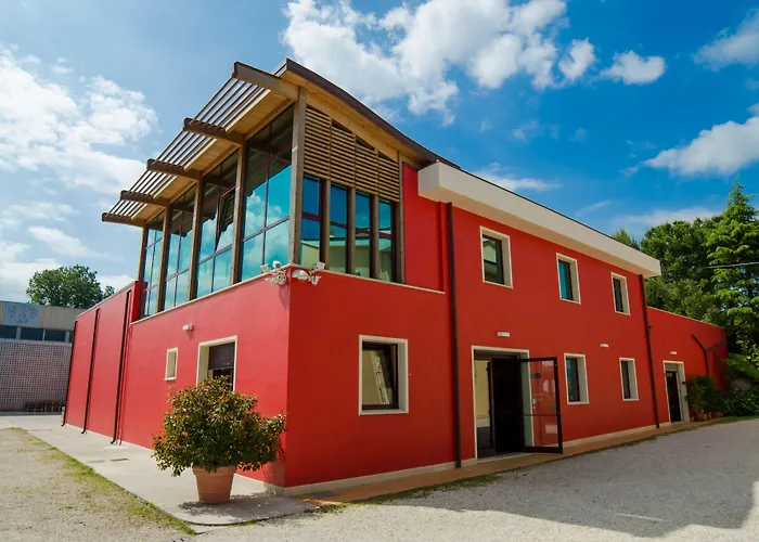 Relais Cocci Grifoni - Panoramic Wine