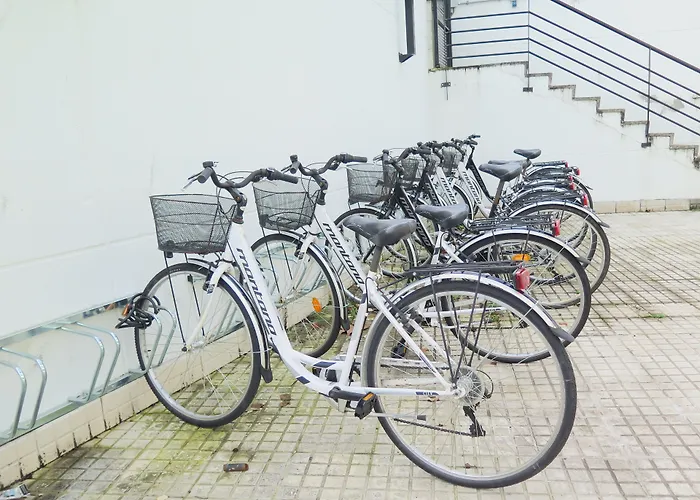 Cats Hostel San Sebastian