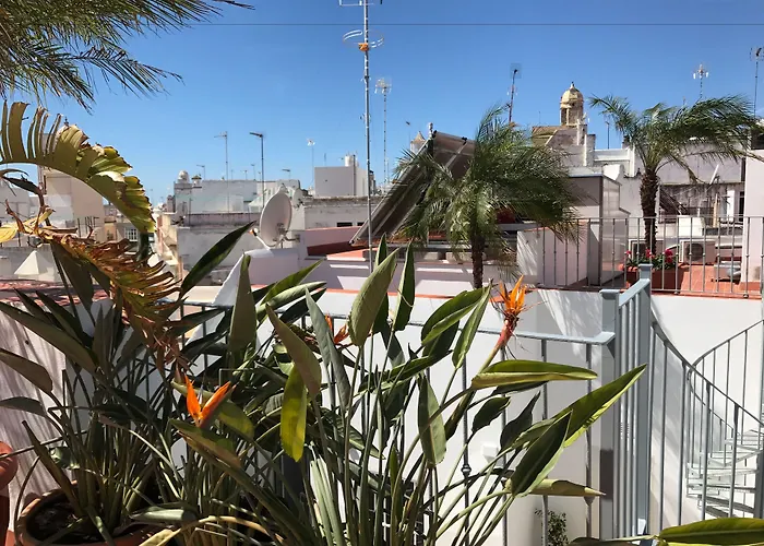 Hotel que admite mascotas: Apartamentos Rosario 1