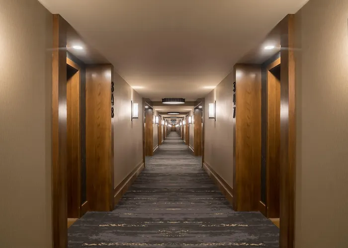 Сity center hotels Malcolm