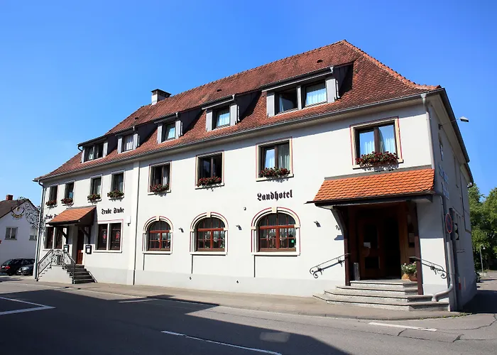 Traube