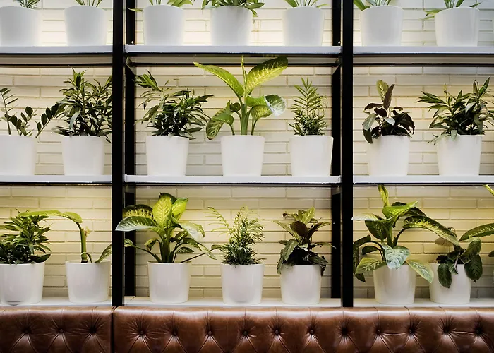 Hotel familiar: Praktik Bakery