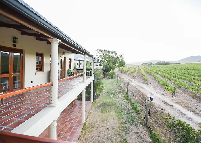 Lovane Boutique Wine Estate And Guesthouse Stellenbosch