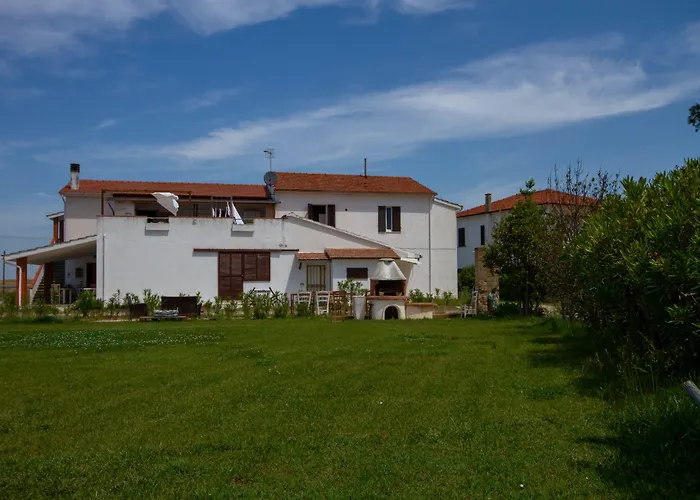 Hotel adatto agli animali: Hotel Dory