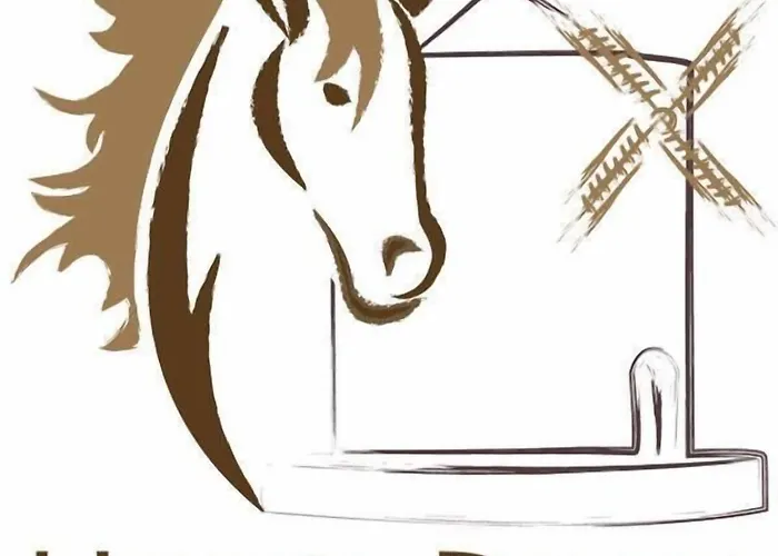 Hotel adatto agli animali: Hotel Dory