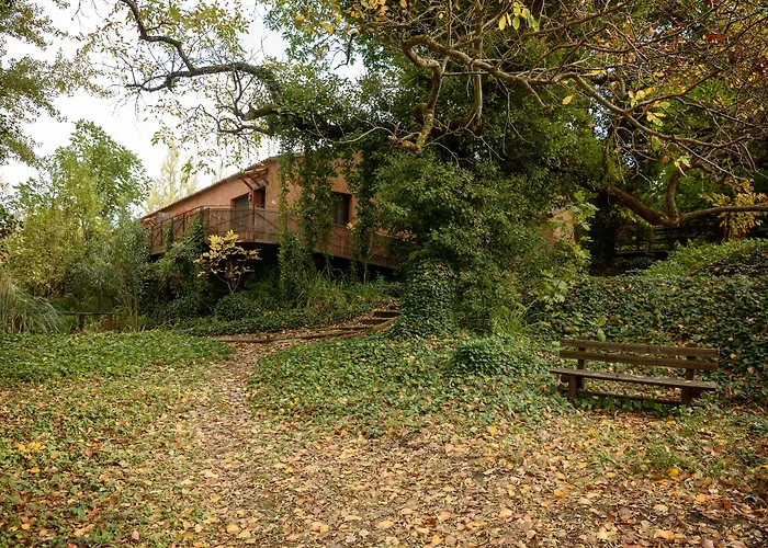 Molinos De
