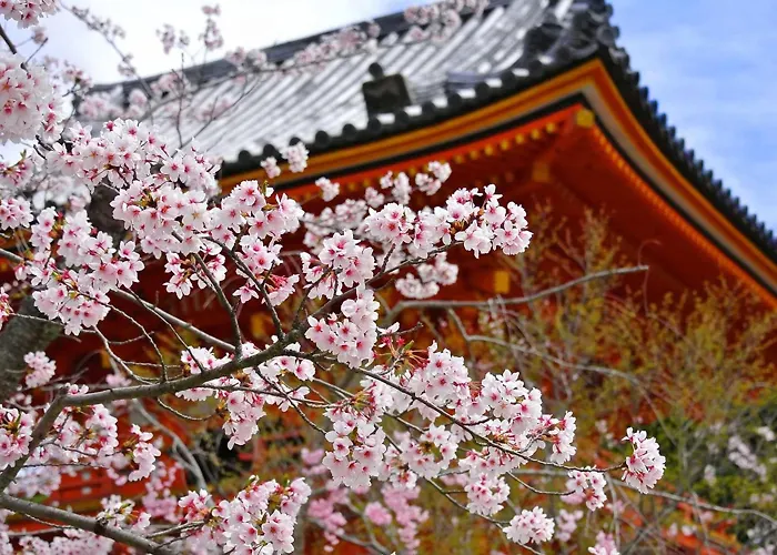 Cheap hotel: Kyomai Inn