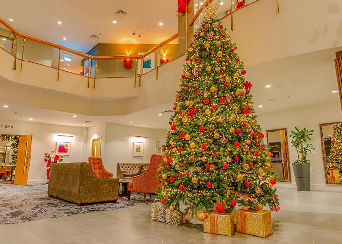 Hotel de playa: Plaza Hotel Tallaght