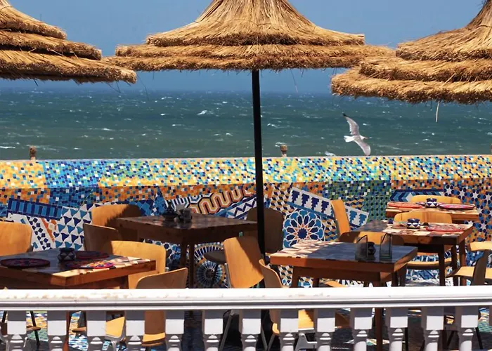 Hôtel accueillant les animaux: Salut Maroc!