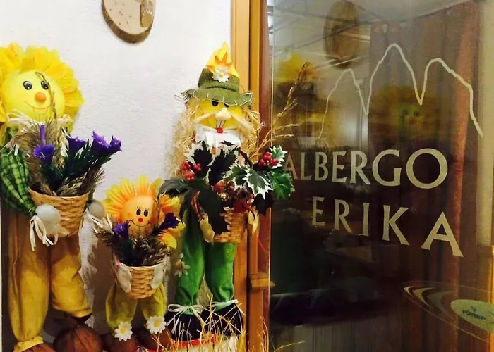 Hotel adatto agli animali: Albergo Erika